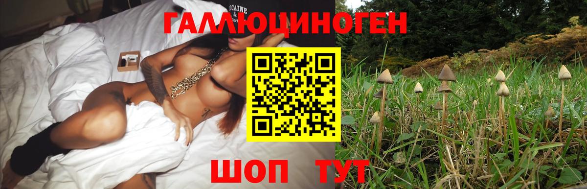 Псилоцибиновые грибы GOLDEN TEACHER Шатура